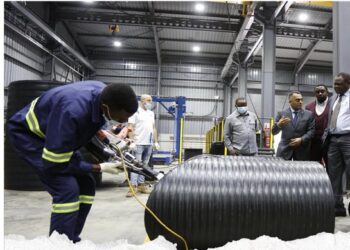 Tanzania to Establish Industrial Parks in Every District to Boost Production and Youth Employment