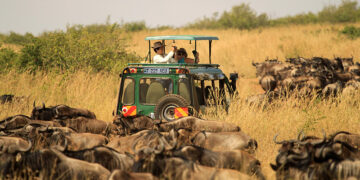 Tanzania’s Tourism Navigates Post-Election Challenges