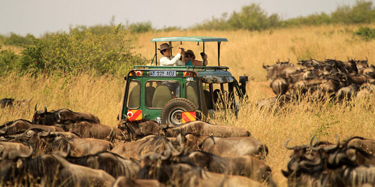 Tanzania’s Tourism Navigates Post-Election Challenges