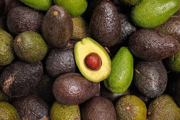 Tanzania Launches 2025/2026 Avocado Season, Targets Export Growth and Farmer Income Boost