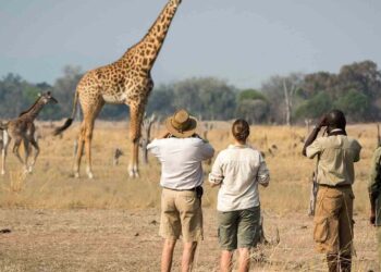 UK Tourism Scouts Explore Tanzania’s Riches to Boost European Visitor Numbers