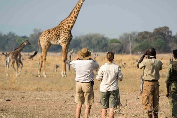 UK Tourism Scouts Explore Tanzania’s Riches to Boost European Visitor Numbers