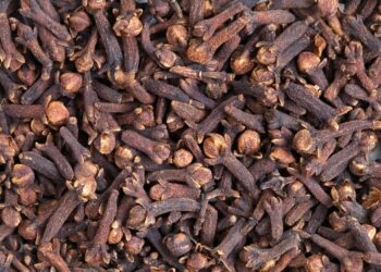 Zanzibar’s Clove Exports Plummet 76% as Global Oversupply and Climate Shocks Squeeze Farmers