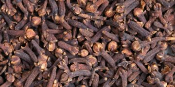 Zanzibar’s Clove Exports Plummet 76% as Global Oversupply and Climate Shocks Squeeze Farmers