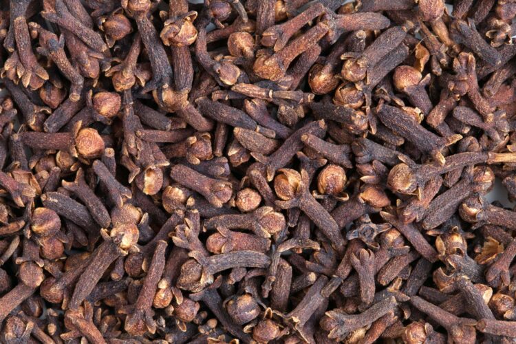 Zanzibar’s Clove Exports Plummet 76% as Global Oversupply and Climate Shocks Squeeze Farmers