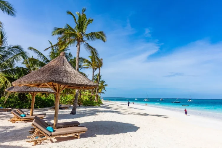 Zanzibar Sees Explosive 24% Tourism Surge, Becoming a Global Hotspot