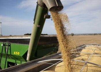 Investment Shifts Toward Commercial Agriculture in Tanzania’s SAGCOT Region