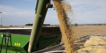 Investment Shifts Toward Commercial Agriculture in Tanzania’s SAGCOT Region