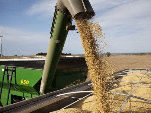 Investment Shifts Toward Commercial Agriculture in Tanzania’s SAGCOT Region