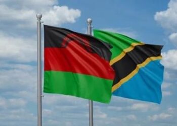 Tanzania–Malawi Trade Deal Opens New Opportunities for Local Markets.
