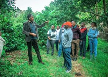 Domestic Investor Lima Kwanza Limited Benefits from TISEZA Incentives as National Campaign Reaches Songwe.