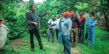 Domestic Investor Lima Kwanza Limited Benefits from TISEZA Incentives as National Campaign Reaches Songwe.