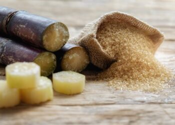 Government seeks investors to strengthen domestic sugar production