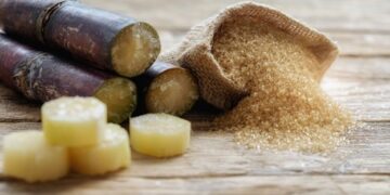 Government seeks investors to strengthen domestic sugar production