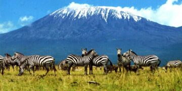 Tourism Emerges as Tanzania’s Top Foreign Exchange Earner, Opening New Investment Opportunities