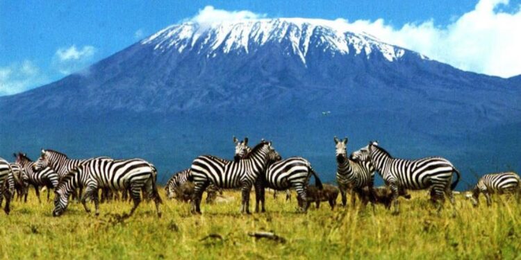 Tourism Emerges as Tanzania’s Top Foreign Exchange Earner, Opening New Investment Opportunities