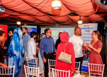 Flowteller Startup Expands Digital Financial Services in Tanzania