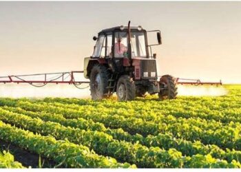 Investing in Tanzania’s Agriculture Sector: Strategies and Opportunities