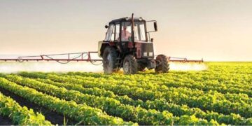 Investing in Tanzania’s Agriculture Sector: Strategies and Opportunities