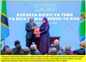 Tanzania Moves to Overhaul Tax System in Bid to Boost Investor Confidence