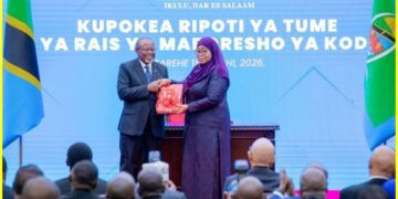 Tanzania Moves to Overhaul Tax System in Bid to Boost Investor Confidence