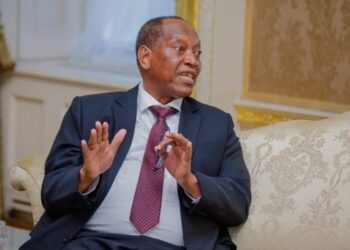 Tanzania Calls on Diaspora to Boost Investment and National Development