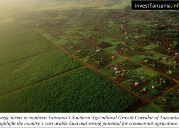 Tanzania Positioned as East Africa’s Agricultural Investment Leader