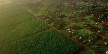 Tanzania Positioned as East Africa’s Agricultural Investment Leader