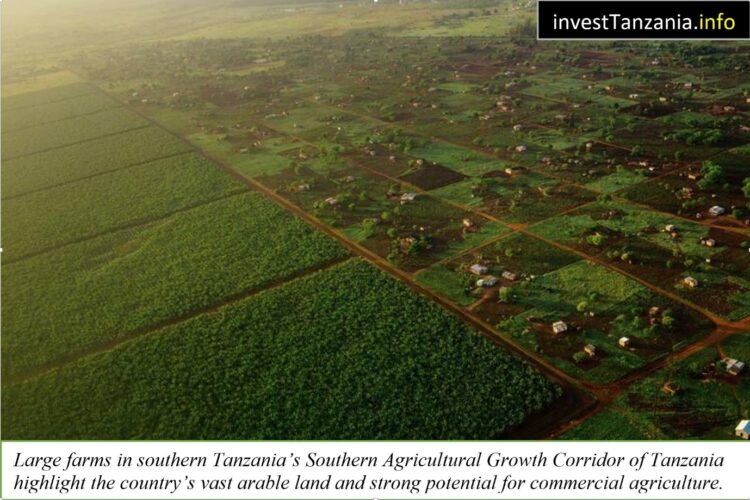 Tanzania Positioned as East Africa’s Agricultural Investment Leader