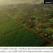 Tanzania Positioned as East Africa’s Agricultural Investment Leader