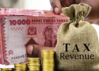 Tanzania Proposes 284 Tax Reforms in Bid to Strengthen Investment Climate