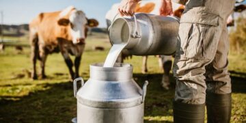 Untapped Potential: Structural Gaps in Tanzania’s Dairy Sector a Case for Investment