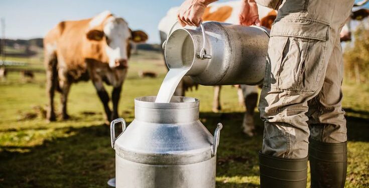 Untapped Potential: Structural Gaps in Tanzania’s Dairy Sector a Case for Investment