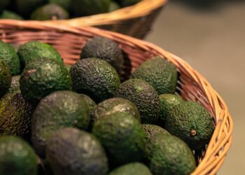 Tanzania’s Agribusiness Draws Investor Interest as Sesame and Avocado Exports Rise