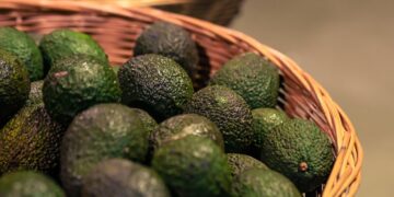 Tanzania’s Agribusiness Draws Investor Interest as Sesame and Avocado Exports Rise