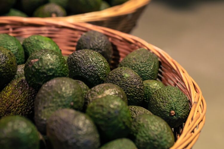Tanzania’s Agribusiness Draws Investor Interest as Sesame and Avocado Exports Rise