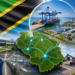Investment Opportunities Within Tanzania’s EPZ and SEZ Framework