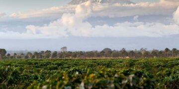 TISEZA Calls for Expanded Agricultural Investment in Hai District