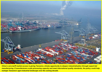 Tanzania Eyes Export Growth to China under Zero Tariff Trade Window