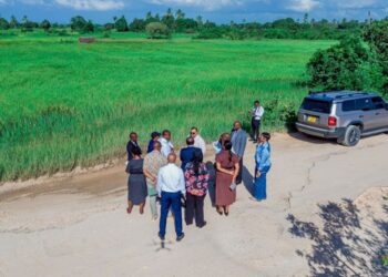 Tanzania Continues to Attract Global Investors as Dangote Group Visits