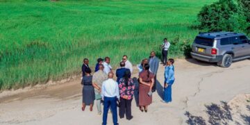 Tanzania Continues to Attract Global Investors as Dangote Group Visits