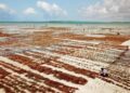 Tanzania’s Blue Economy Opens New Opportunities for Investor Capital