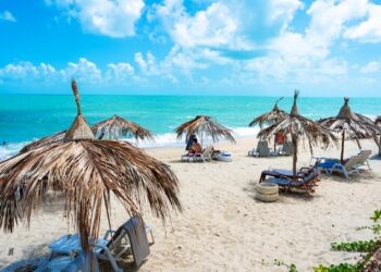 Discover Investment Opportunities in Tanzania’ Tourism Sector