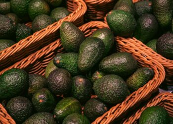 Tanzania Bets on Avocado Boom as Export Targets Climb