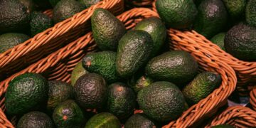 Tanzania Bets on Avocado Boom as Export Targets Climb