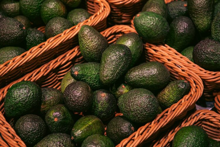 Tanzania Bets on Avocado Boom as Export Targets Climb
