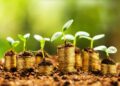Tanzania’s $5.3 Million Green Investment Initiative Opens New Opportunities