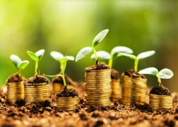 Tanzania’s $5.3 Million Green Investment Initiative Opens New Opportunities