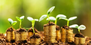 Tanzania’s $5.3 Million Green Investment Initiative Opens New Opportunities