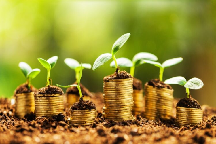 Tanzania’s $5.3 Million Green Investment Initiative Opens New Opportunities